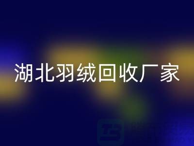 湖北羽絨回收，循環利用的新風尚