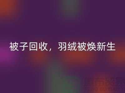 全新被子回收，羽絨被煥新生——江蘇南通家紡城引領(lǐng)綠色未來