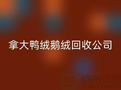 探秘加拿大鴨絨鵝絨回收公司:環保與品質的雙重堅守