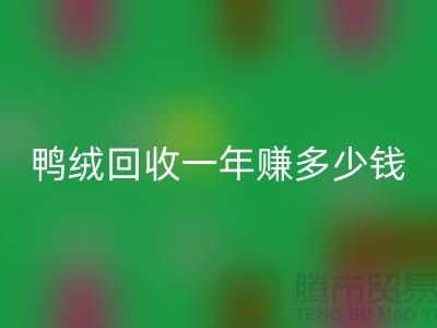 鴨絨回收一年掙多少錢？揭秘利潤與環保的雙重收益