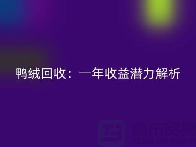 鴨絨回收：一年收益潛力解析@上海騰布貿易