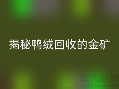 揭秘鴨絨回收的金礦,一年能掙多少錢?上海羽絨回收廠家