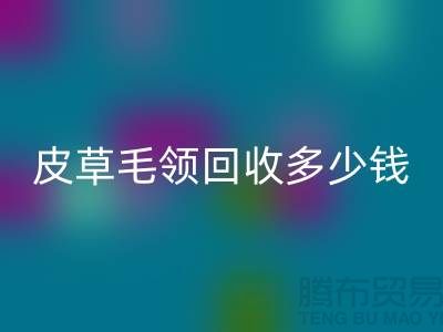 真皮皮衣皮草毛領回收多少錢一個?-上海騰布貿易