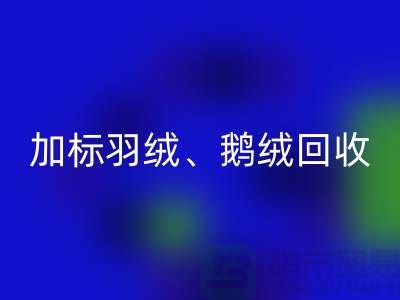 新國標羽絨回收:加標羽絨回收、鵝絨與鴨絨回收廠家全解析