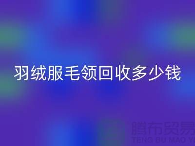 羽絨服毛領回收多少錢一件