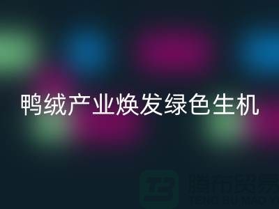 **標題:新國標引領下,杭州鴨絨產業煥發綠色生機**