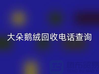 ### 日標羽絨回收,大朵鵝絨回收電話查詢,南京鴨絨回收公司