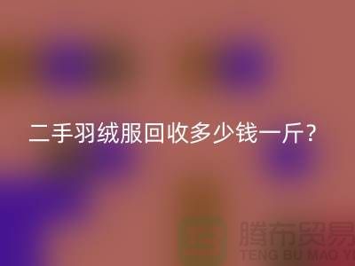 《二手羽絨服回收多少錢一斤？》