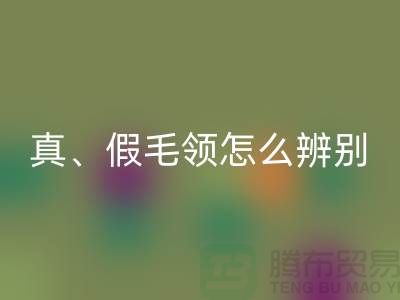 1738413505315414.png b3f6ca9345f32dbbf047c28607b12ed0_1.png