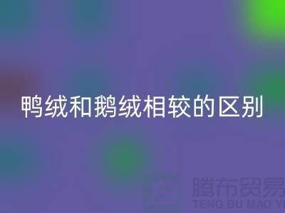 鴨絨和鵝絨相較后的區別-90鴨絨回收-庫存羽絨回收公司
