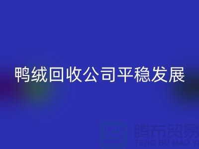 舊鴨絨回收公司商家更加的平穩發展_上海騰布貿易有限公司