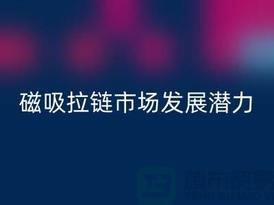磁吸拉鏈?zhǔn)袌霭l(fā)展?jié)摿ρ芯糠治鰣蟾鎋上海拉鏈回收公司