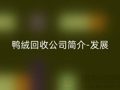 鴨絨回收公司簡介-發展背景-業務范圍-技術優勢-鵝絨回收廠家