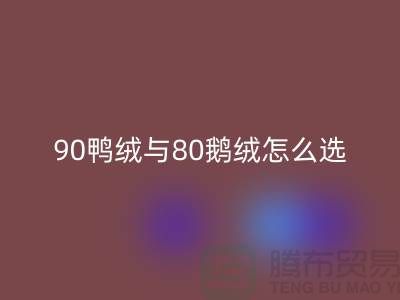 90鴨絨與80鵝絨怎么選好?一篇文章為你解惑!上海騰布貿(mào)易