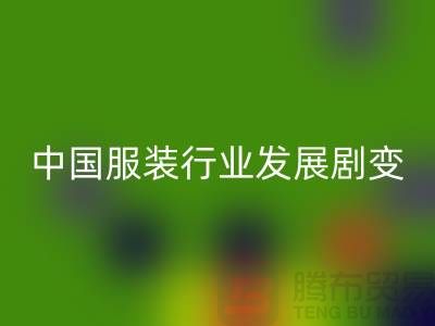 中國服裝行業發展劇變-成敗重要途徑-上海庫存服裝回收公司