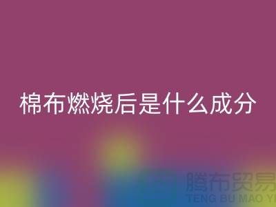 1738938022370717.png 51b7a4f1ea6c9996adabd018418d904d_1.png