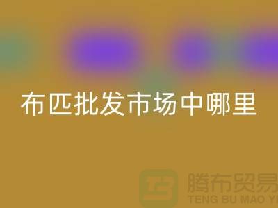 布匹批發市場中哪里布料市場最有名_沙發布料批發市場