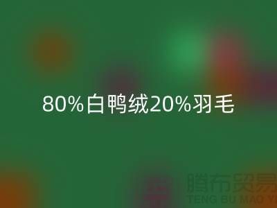 80%白鴨絨20%羽毛這樣的羽絨服好不好