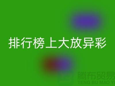 想知道哪些拉鏈品牌在排行榜上大放異彩?