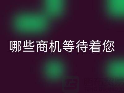 1741931798121320.png e882a71ba4005bb4cbb85851be48c4c4_1.png