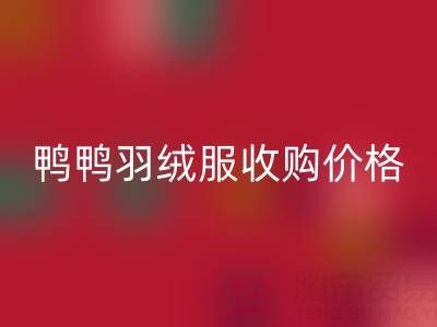 鴨鴨羽絨服收購價格全解析:廠家、平臺、多少錢一件?