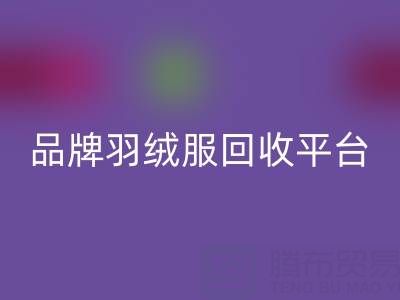 長(zhǎng)款羽絨服回收指南：品牌羽絨服回收與羽絨服收購(gòu)平臺(tái)哪家好？