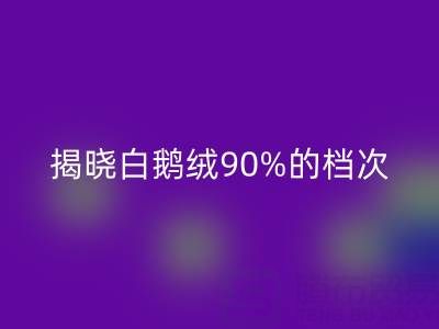 揭秘白鵝絨90%的檔次與價值，探尋杭州羽絨回收奧秘