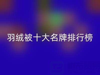 中國羽絨被十大名牌排行榜：權威盤點與選購指南