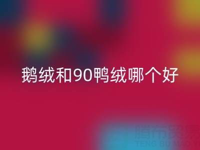 90白鵝絨和90鴨絨哪個好？羽絨生產廠家的深度解析