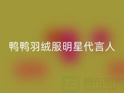 鴨鴨羽絨服明星代言陣容大揭秘！鞠婧祎領銜，馬斯克媽媽驚艷亮相