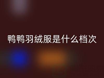 鴨鴨羽絨服是什么檔次的牌子？價格貴嗎？